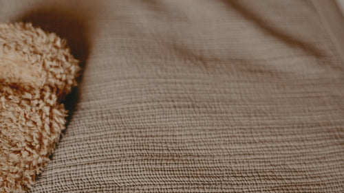 Teddy Hot Water Bottle
