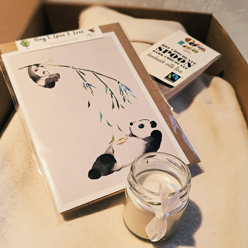 CosyPanda Sustainable & Snug Gift Box